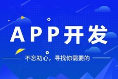 開發(fā)一個(gè)app多少錢？