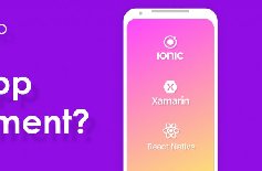 為什么要定制APP開發(fā)，APP開發(fā)定制的好處？