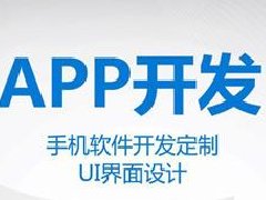 B2B手機(jī)APP開(kāi)發(fā)教程